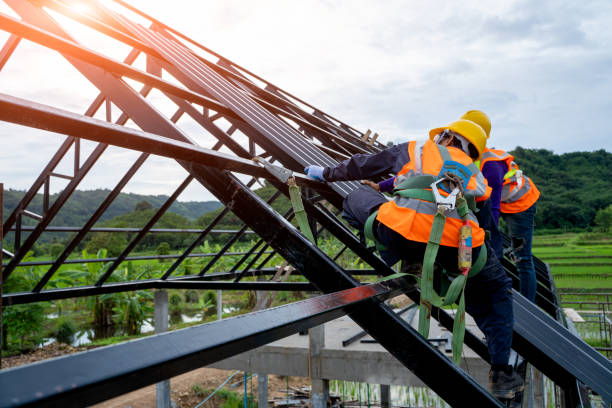 Best Roof Maintenance Services  in Quincy, CA